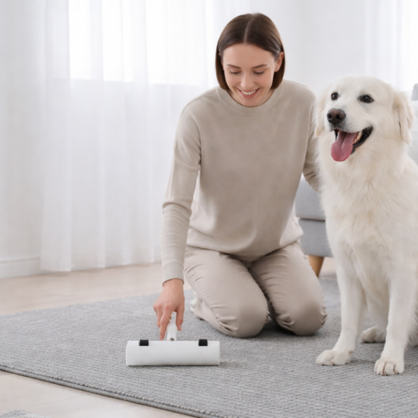 the harmony roller | eco friendly reusable pet hair & lint remover