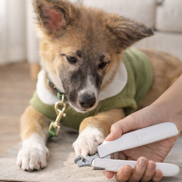 the luminous clip: led pet nail trimmer with safety guard